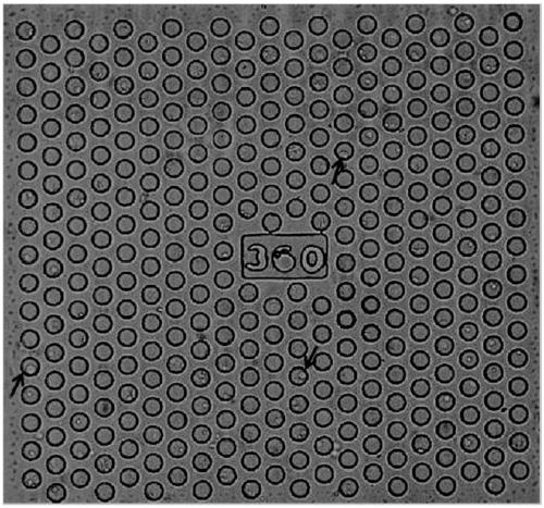 Marker, identification method, detection kit and application of fetal trophoblastic cells