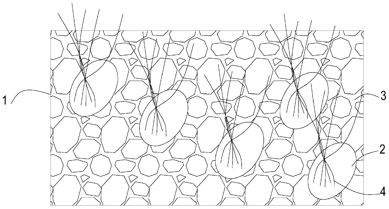 Aquatic plant growth bed and preparation method thereof