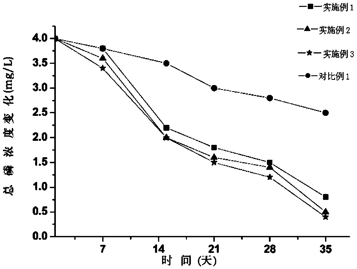 Aquatic plant growth bed and preparation method thereof