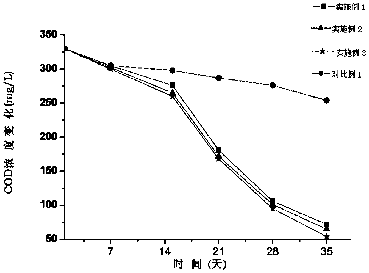 Aquatic plant growth bed and preparation method thereof