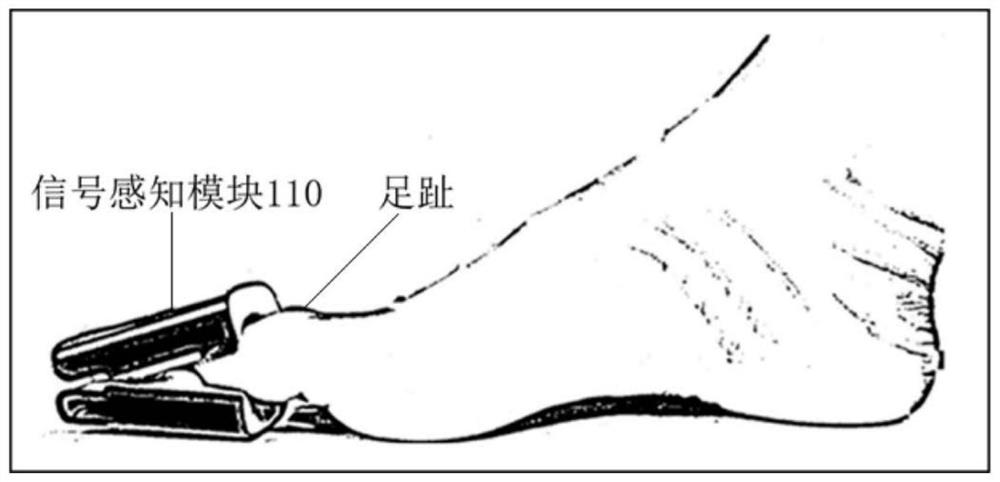 Diabetic foot risk detection device