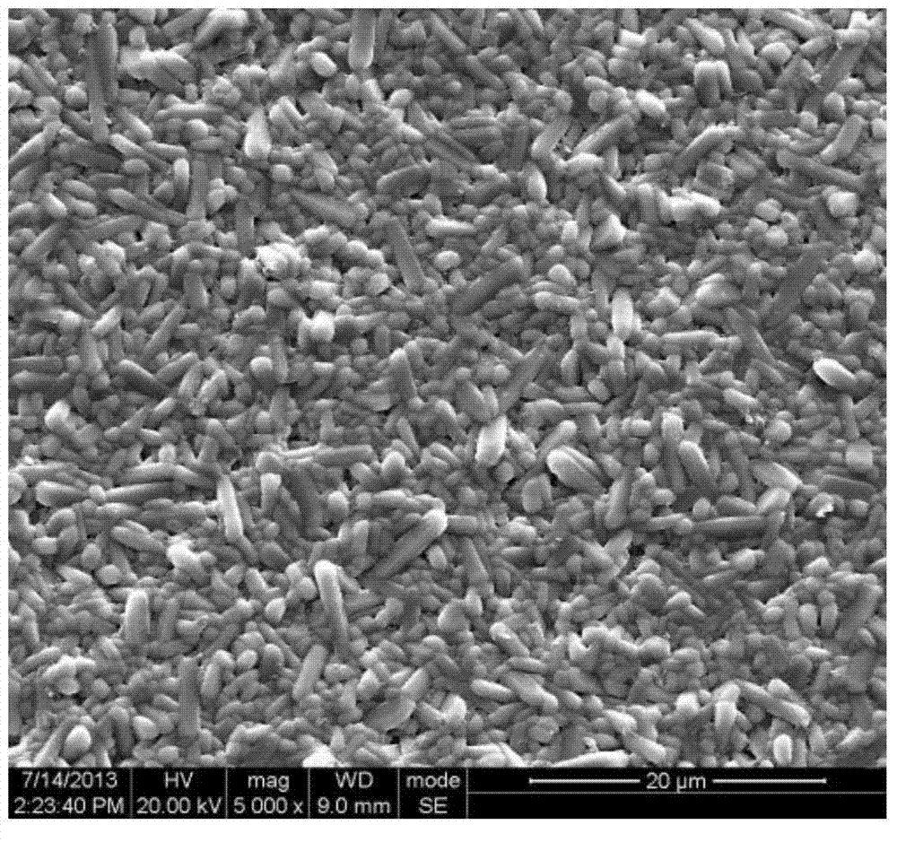 B-substituted BNT microwave dielectric ceramic material and preparation method