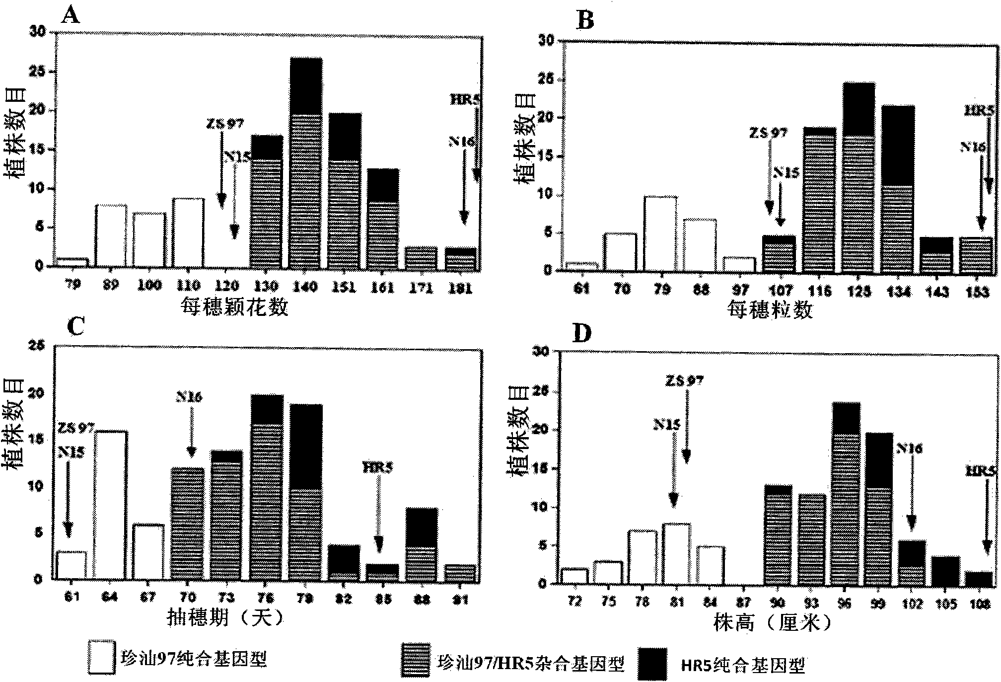 Clone and application of pleiotropic gene Ghd8 for controlling yield, florescence and plant height of rice grain