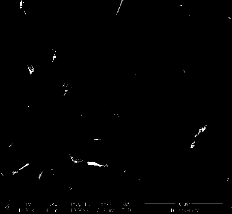 Cobaltosic oxide powder and preparation method thereof