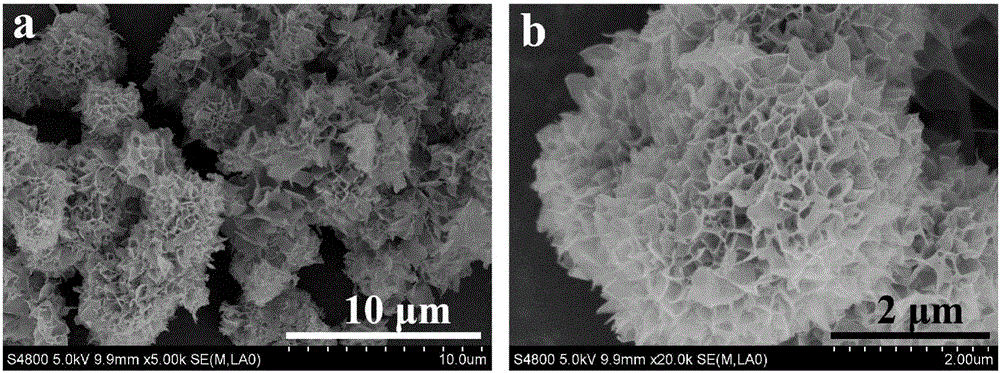 Enzyme immobilization method