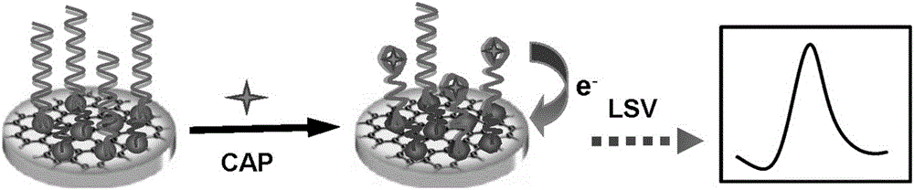 Electrochemical aptamer sensor for rapid detection of chloramphenicol