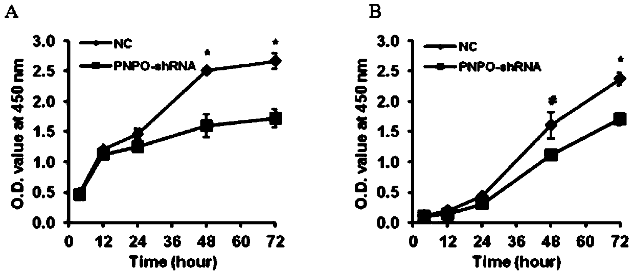 Lowering Pyridoxine Phosphate Oxidase in Ovarian Cancer