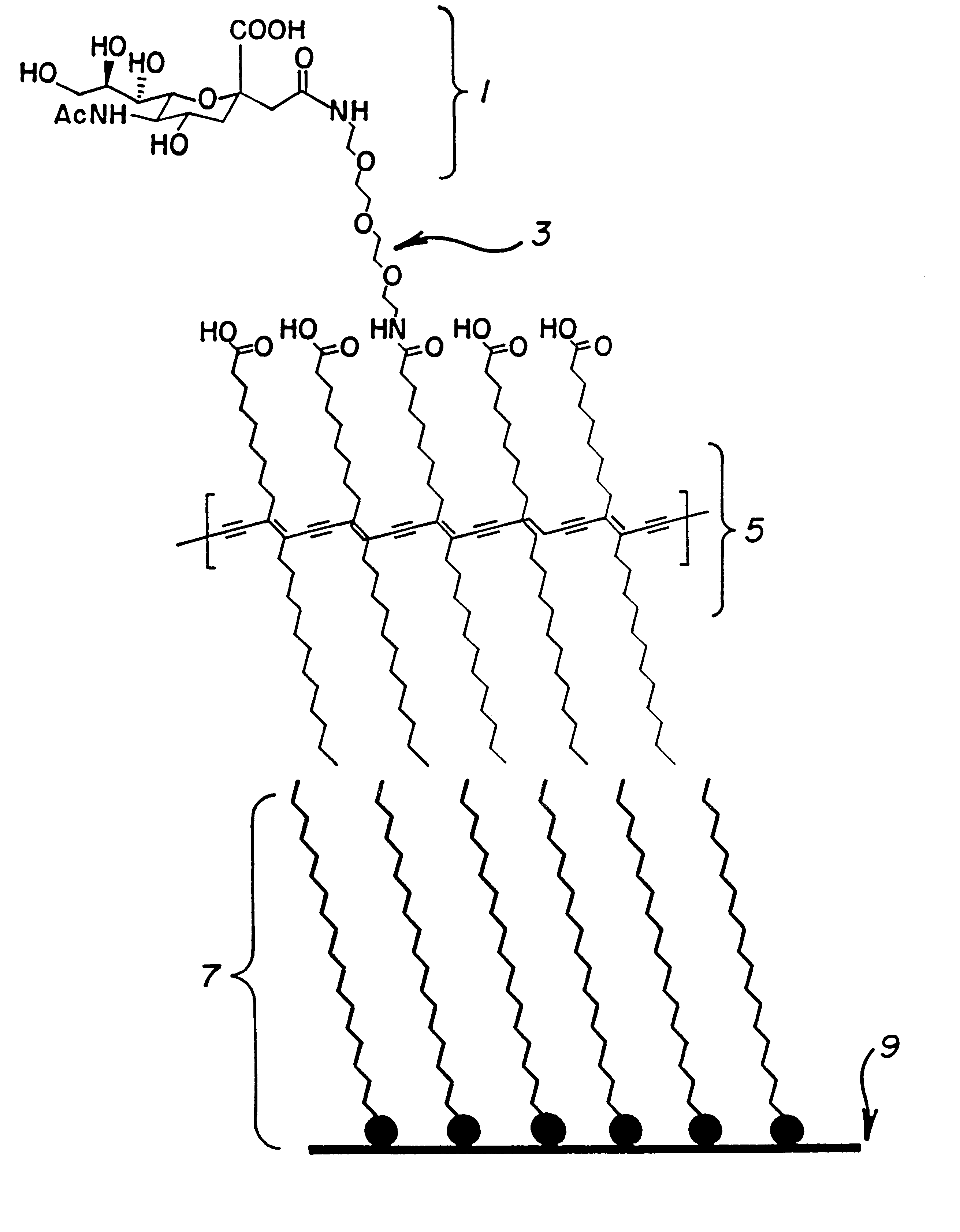 Polymeric assay film for direct colorimetric detection