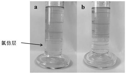 Tea saponin liquid detergent for infants and preparation method thereof