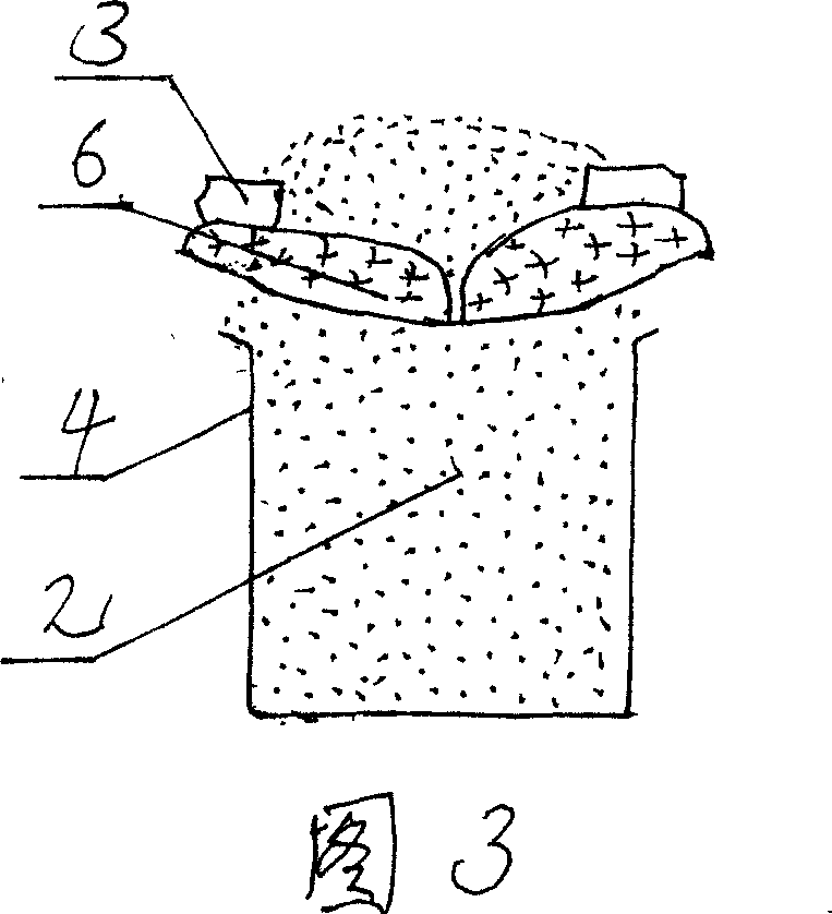 Water storage bag fertilizer