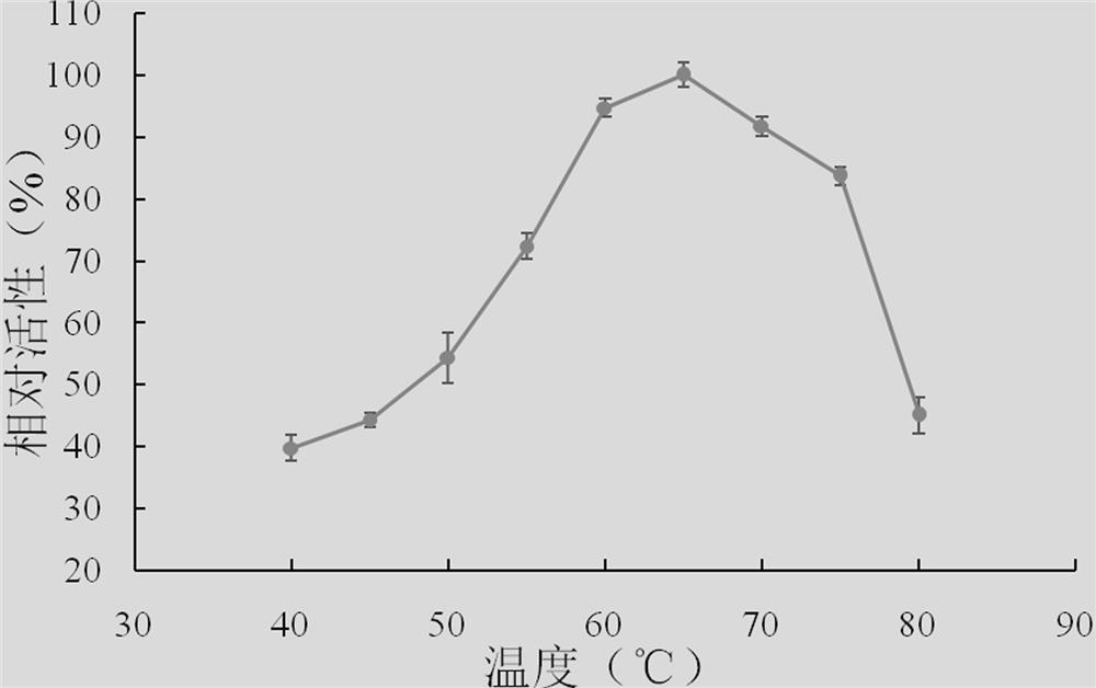 Xylanase, gene and its application