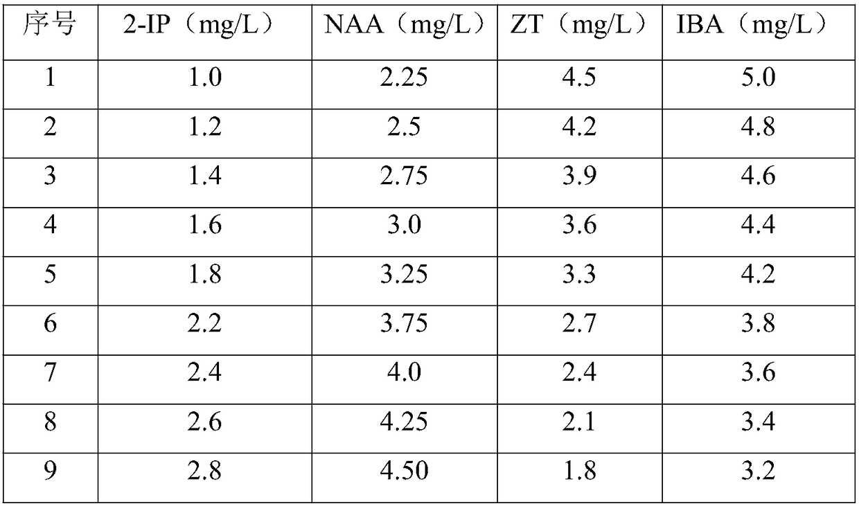 Effective culture and differentiation medium for indica rice anther