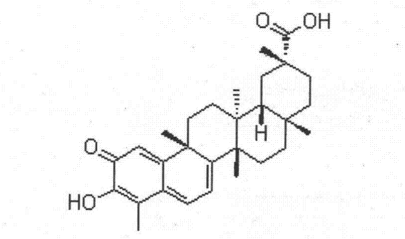 Preparation method of tripterine