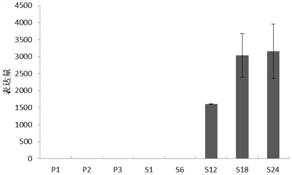 Seed specific interference vector containing pOsGluB-4 promoter and application of seed specific interference vector