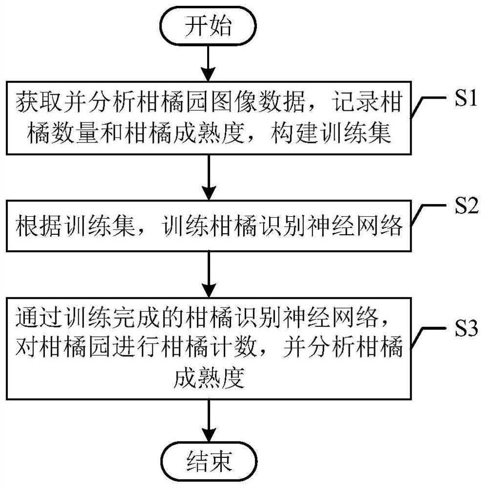 Citrus identifying and counting method