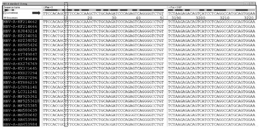 Method and kit for detecting HBV genotype and/or X-region mutation, CDS standard sequence of HBx, primer and application