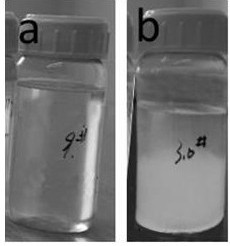 Barium hydroxide solution for stone cultural relic protection and preparation method and application of barium hydroxide solution