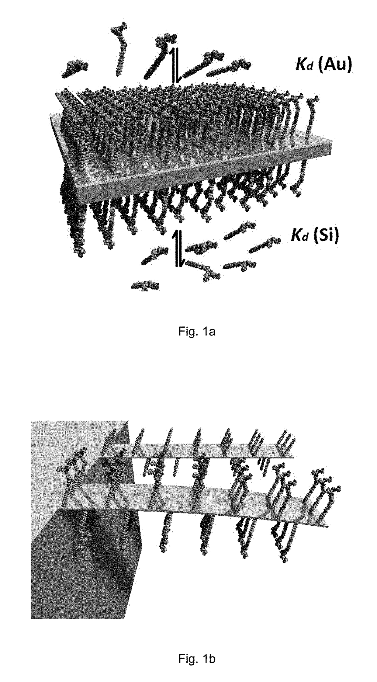 Cantilever sensors for molecule detection