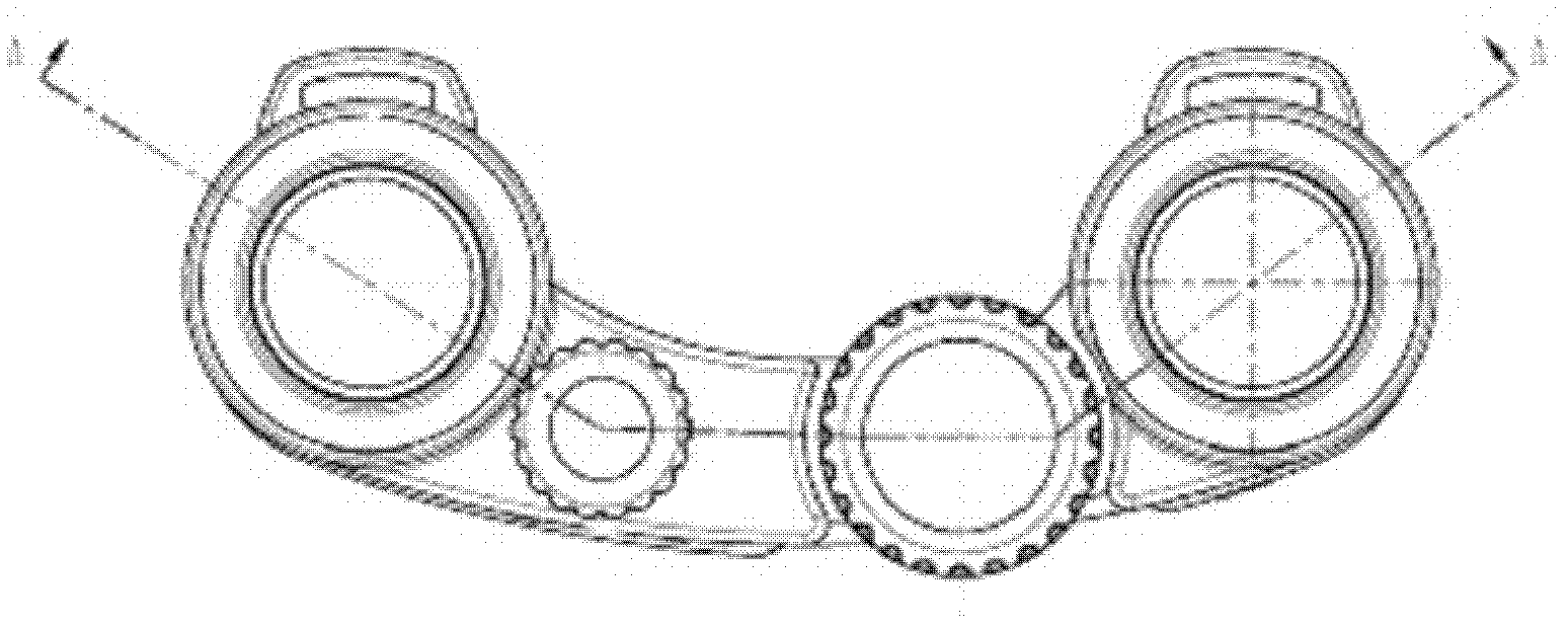 Binocular telescope and adjustment method for binocular telescope