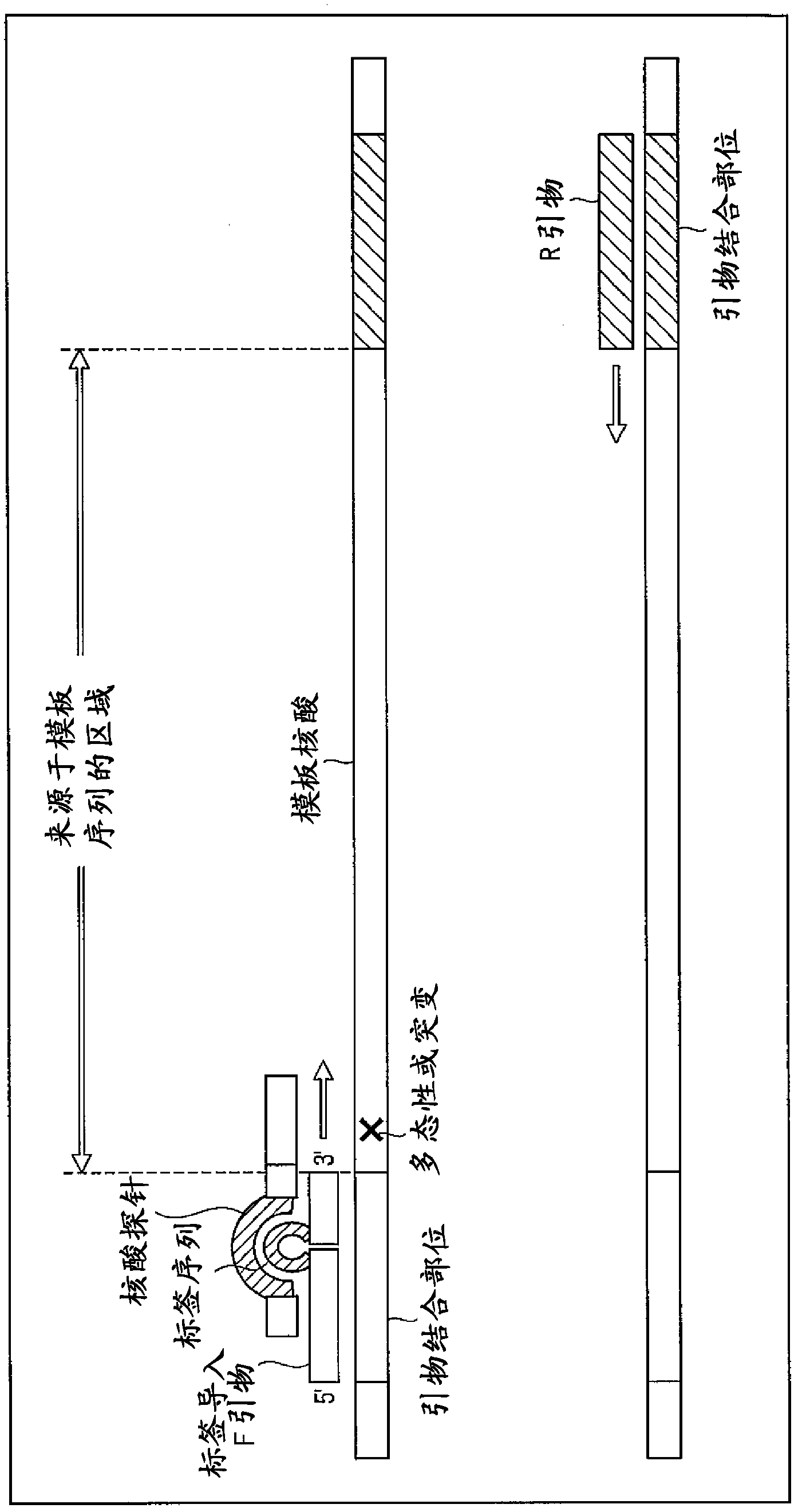 Sample analysis method and assay kit for use in the method