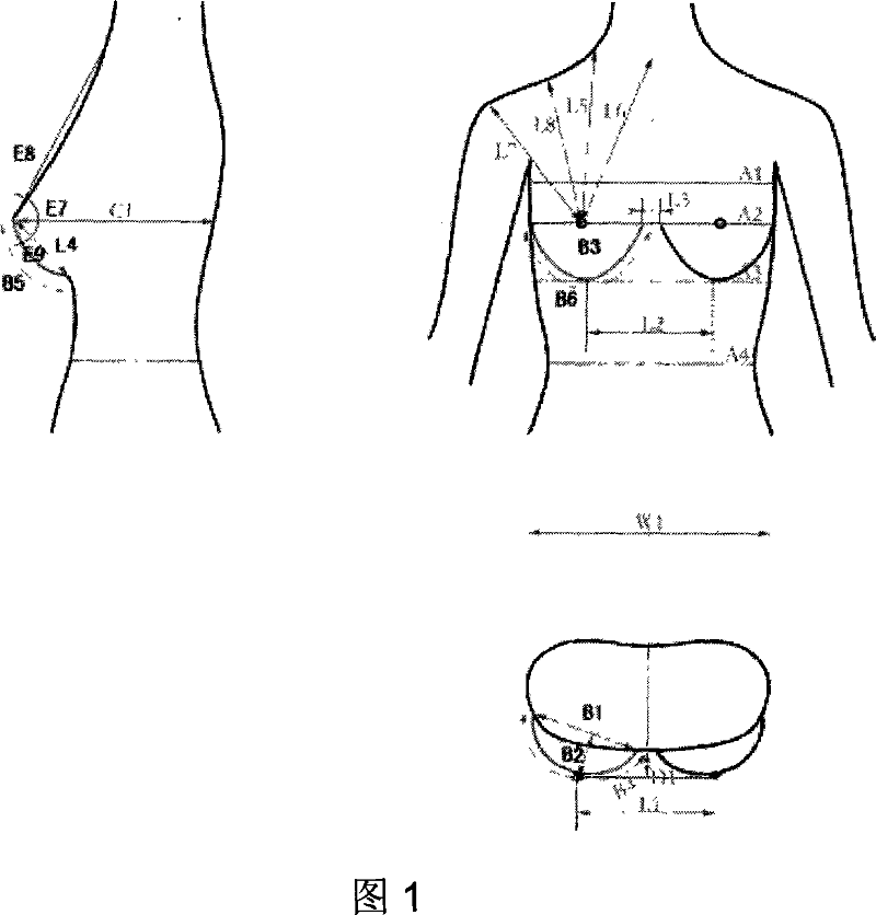 Method of designing structure of the mass customized bra based on the technique of surface modeling