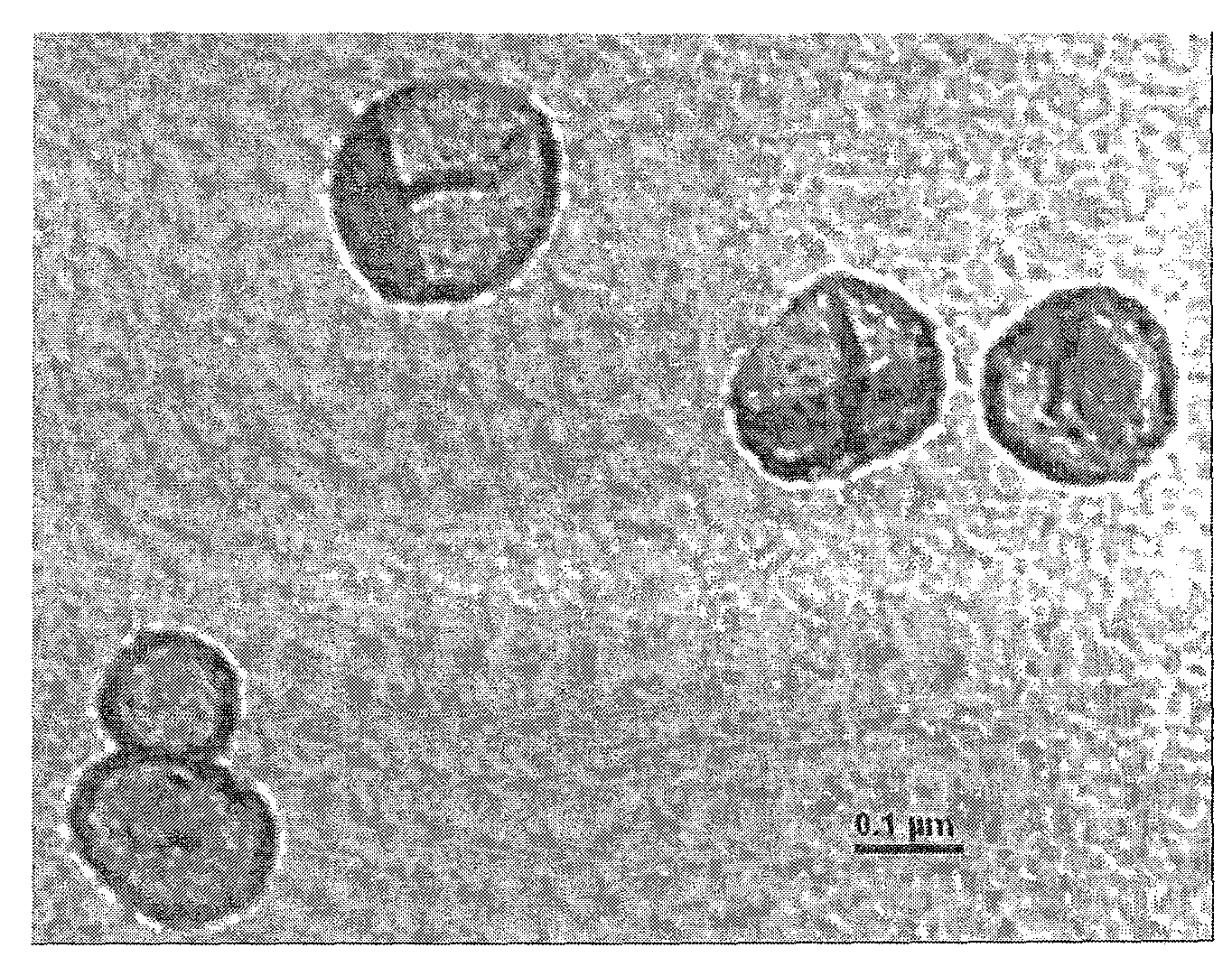 Method for preparing hollow microsphere with hydrogel microsphere as stencil