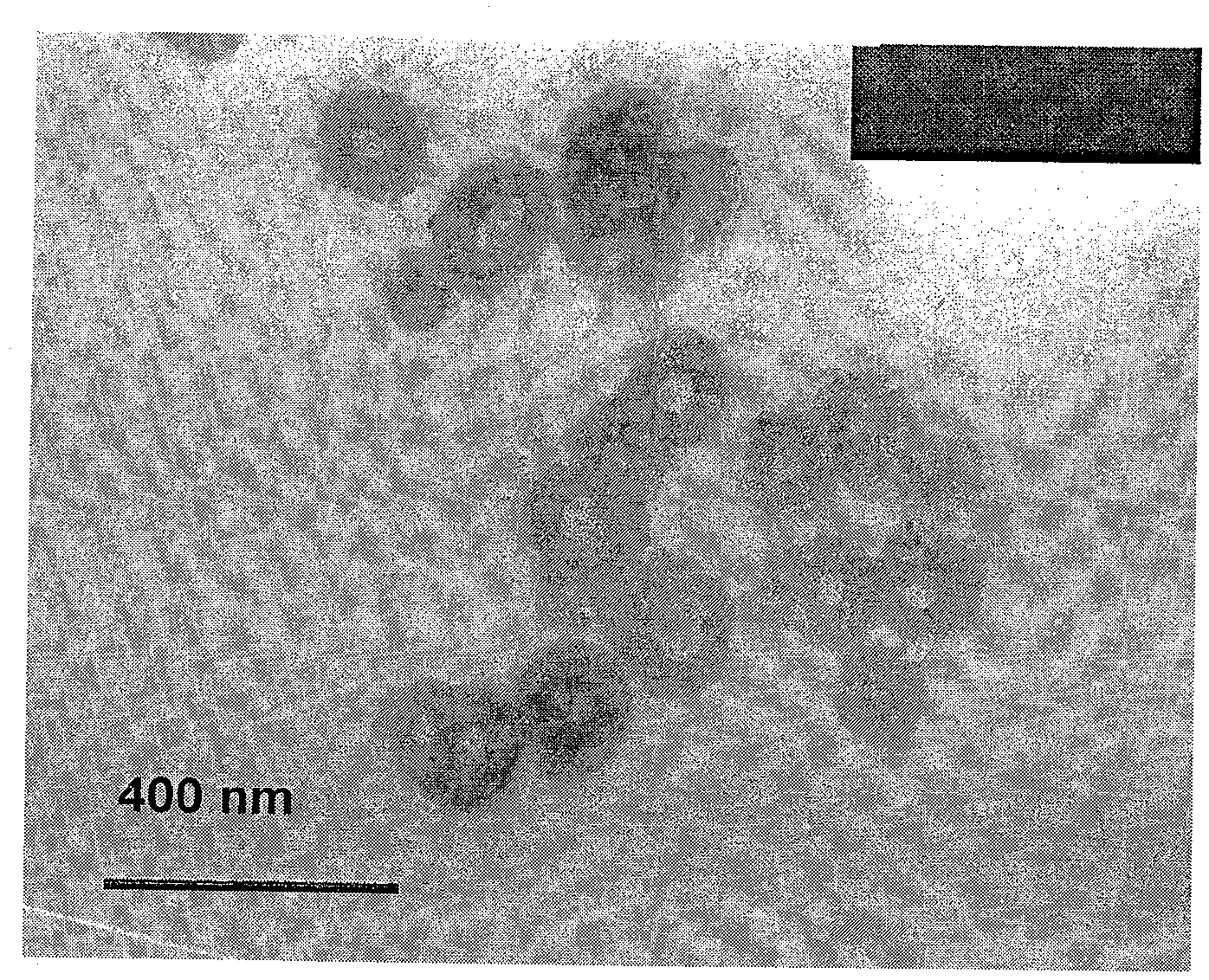 Method for preparing hollow microsphere with hydrogel microsphere as stencil