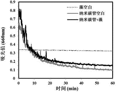 Method for efficiently removing algae from water bodies utilizing carbon nanotubes