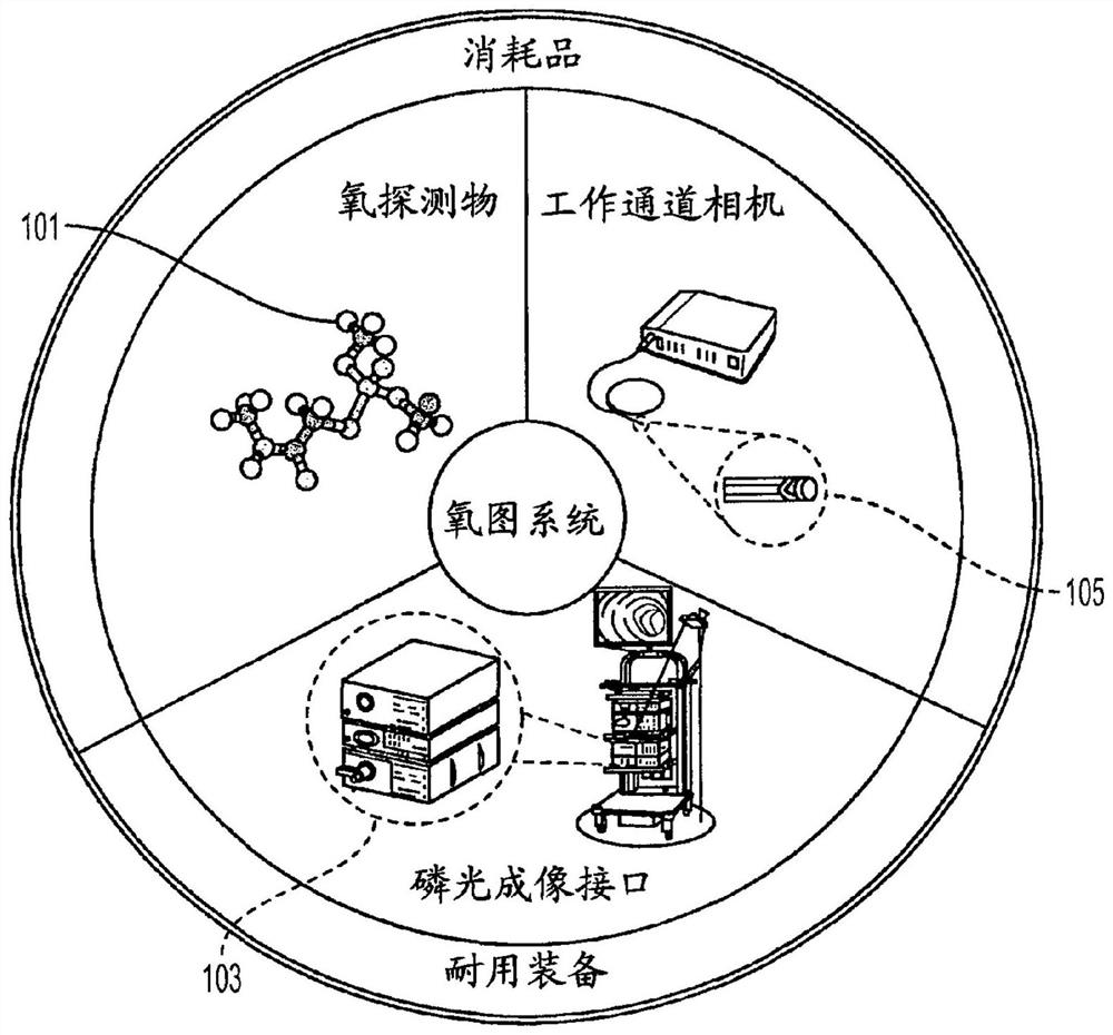 Devices, systems and methods for mapping tissue oxygenation