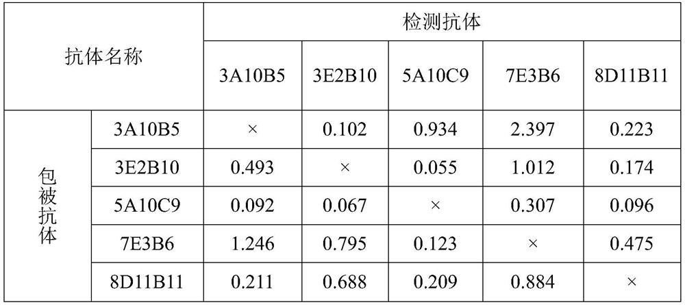 A pair of monoclonal antibodies capable of specifically recognizing hcv NS3 protein and its application