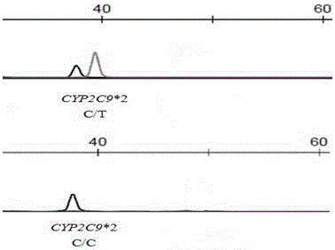 Primer and method for detecting CYP2C9*2 gene polymorphism