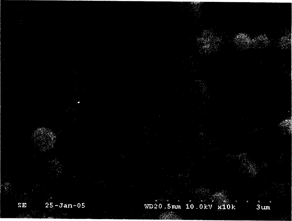 Chitose base self-assembly nano microcapsule preparation method and its drug release regulation method