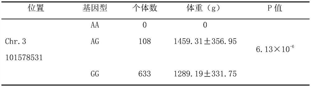 Molecular marker related to chicken growth and development and application thereof