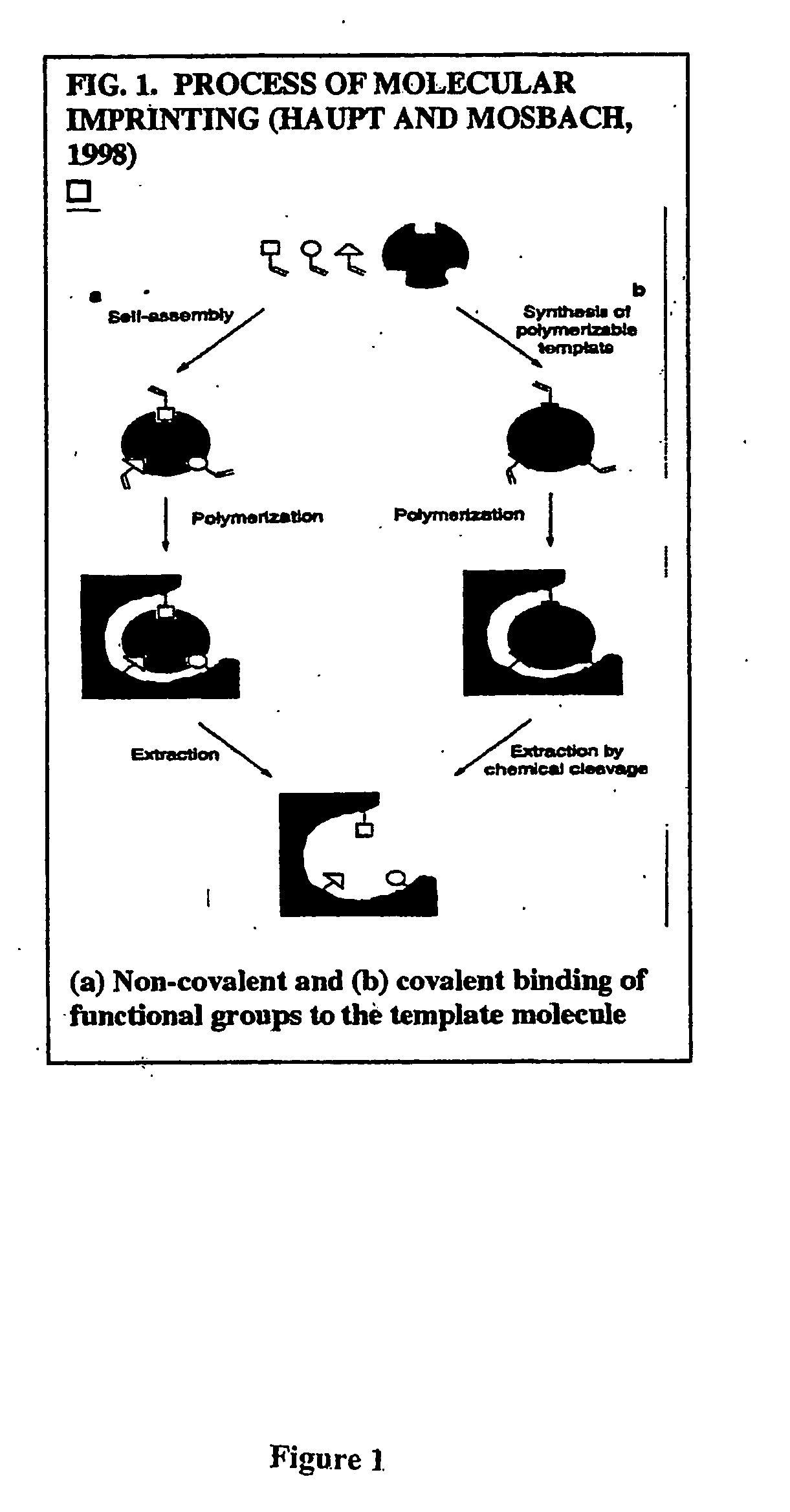 Imprinting a substrate for separation of a target molecule from a fluid medium