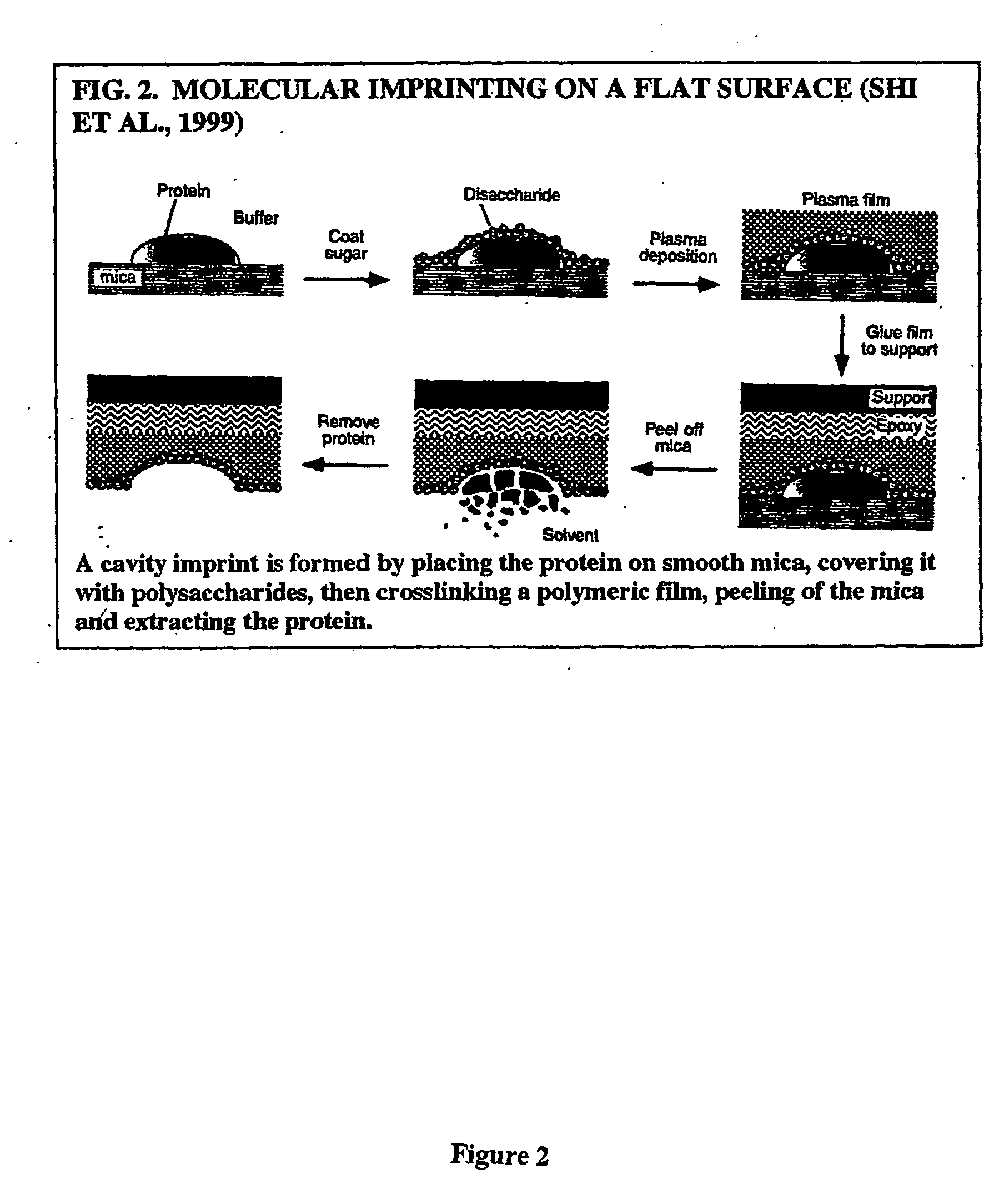 Imprinting a substrate for separation of a target molecule from a fluid medium