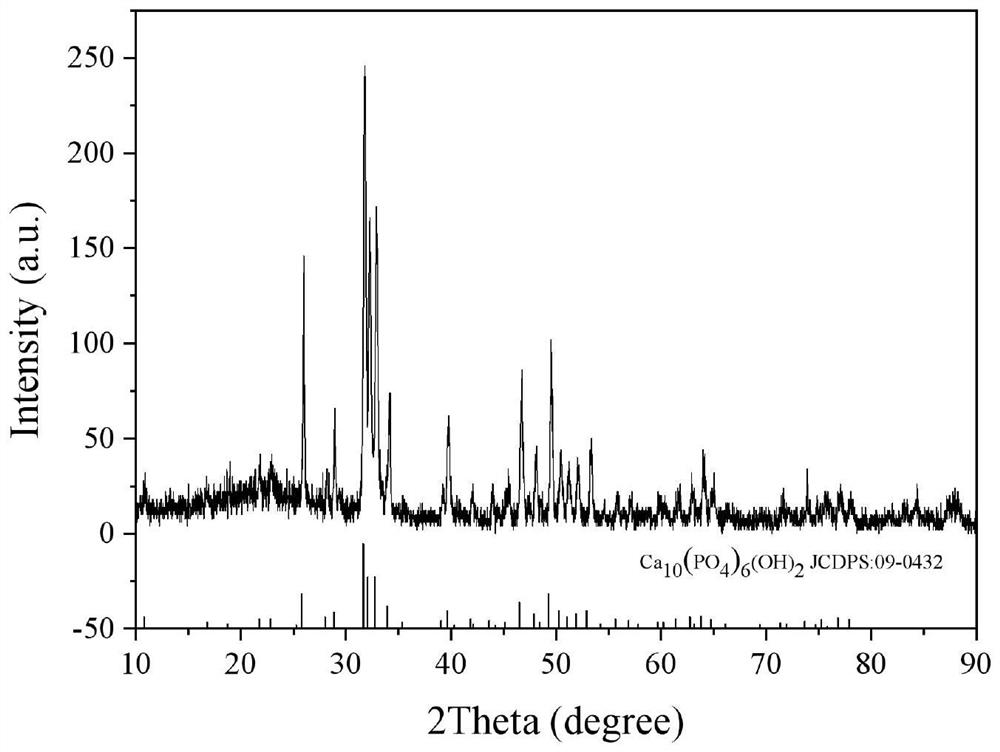 Method for preparing hydroxyapatite nano rod by using egg white template