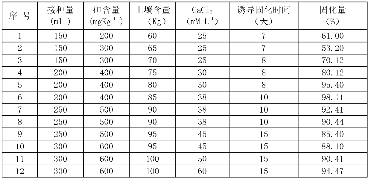 Method for in-situ remediation of arsenic-polluted soil by arsenic-resistant bacteria with induction and solidification effects