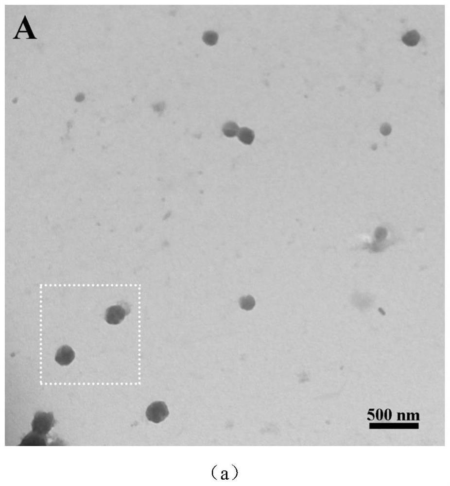 A core-shell structured chitosan-based nano-prodrug that co-loads doxorubicin and platinum drugs and its preparation method and application