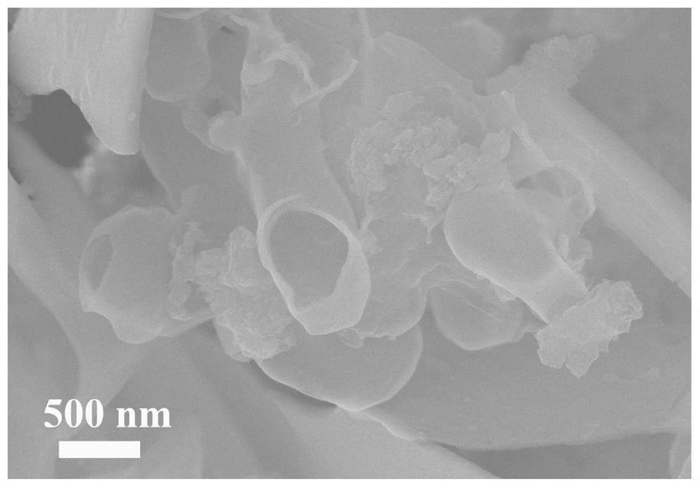 Carbon nanotube as well as preparation method and application thereof