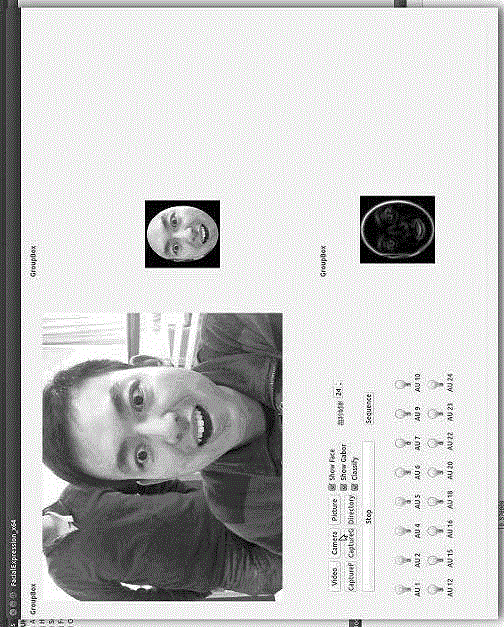 Facial expression recognition and interaction method based on GPU acceleration