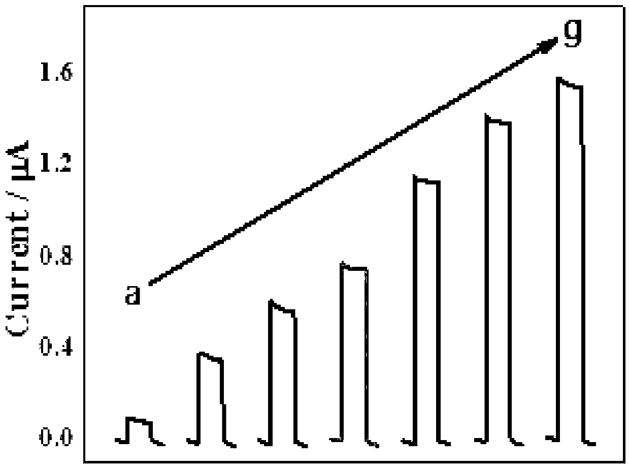 Preparation method and application of electrode for detecting transgenic CaMV35S promoter