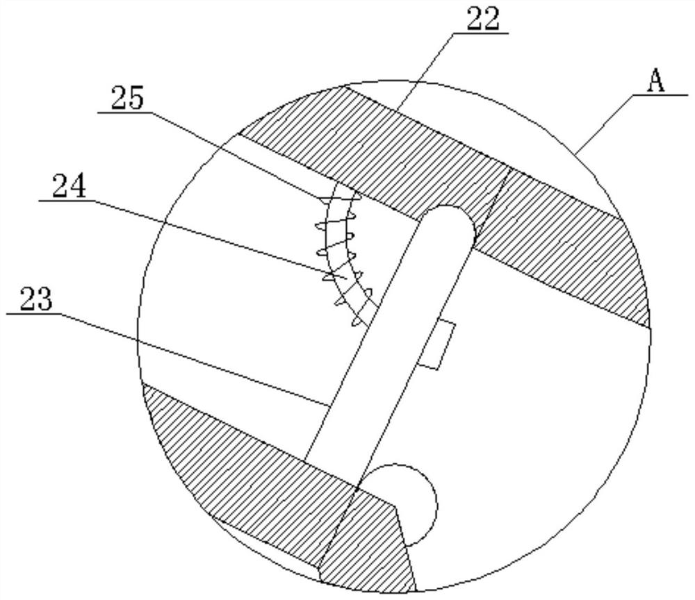 Dust removal device for rice conveying