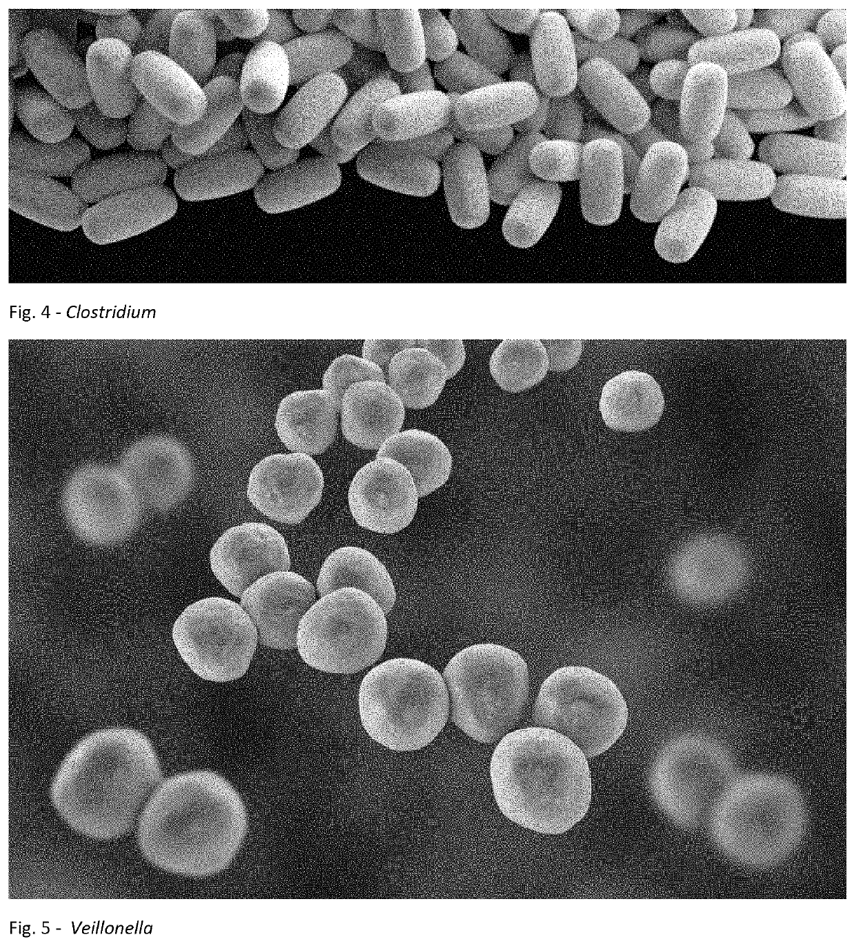 Method for treating an individual suffering from a chronic infectious disease and cancer