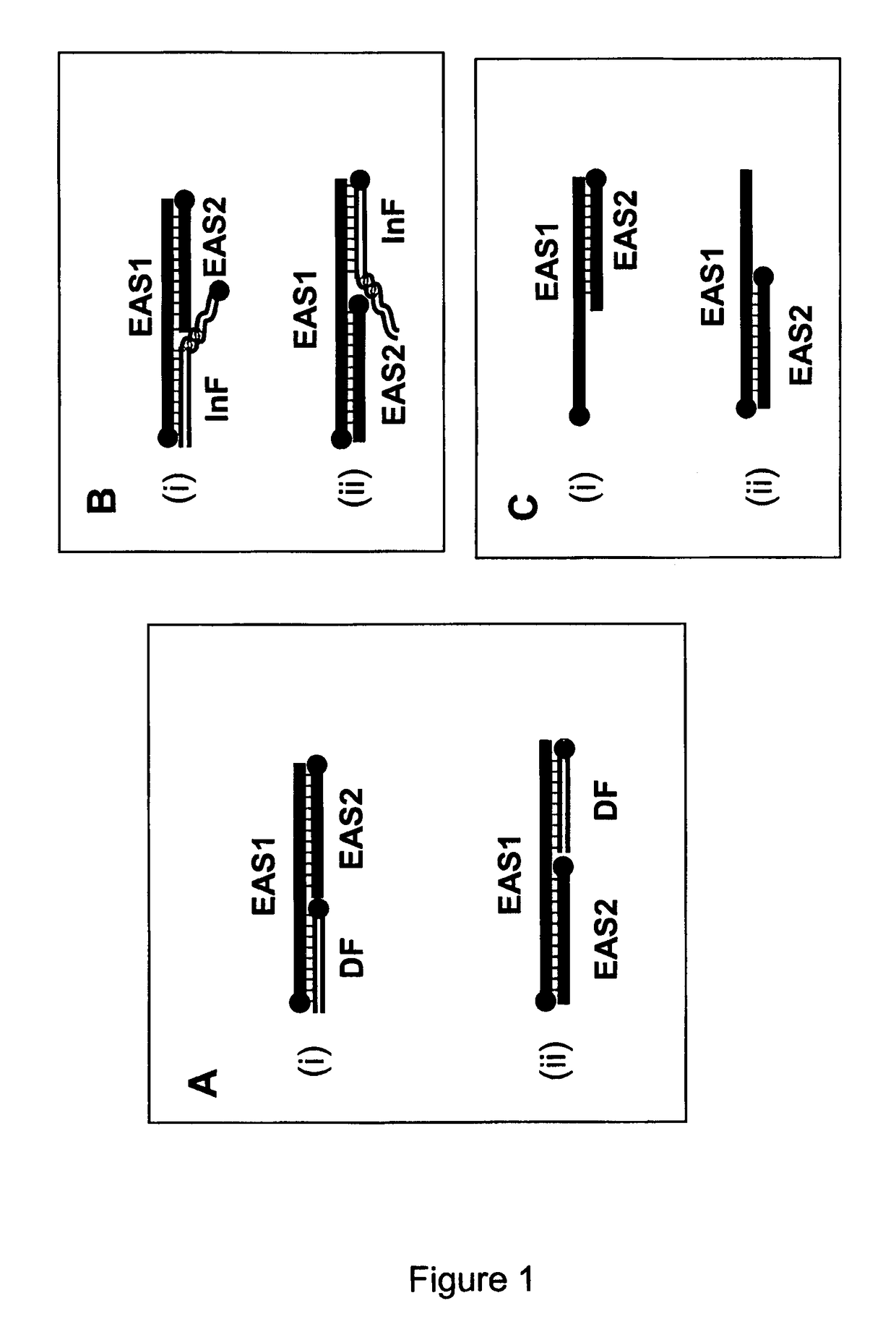 Signal amplification