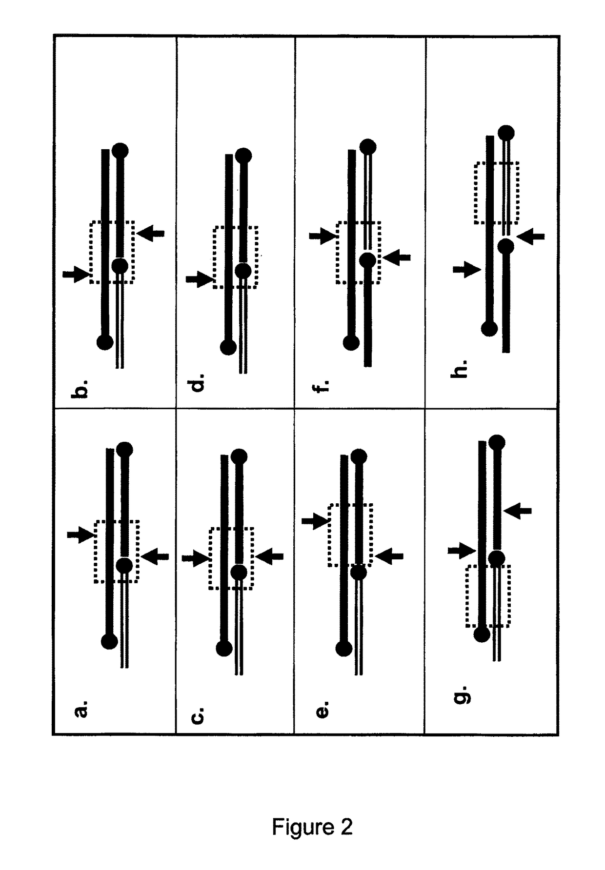 Signal amplification