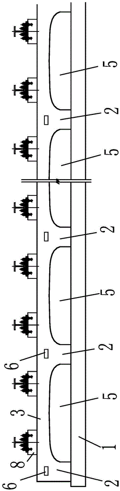 Medium-and-low speed magnetic levitation railway low route continuous arched supporting rail beam structure and construction method