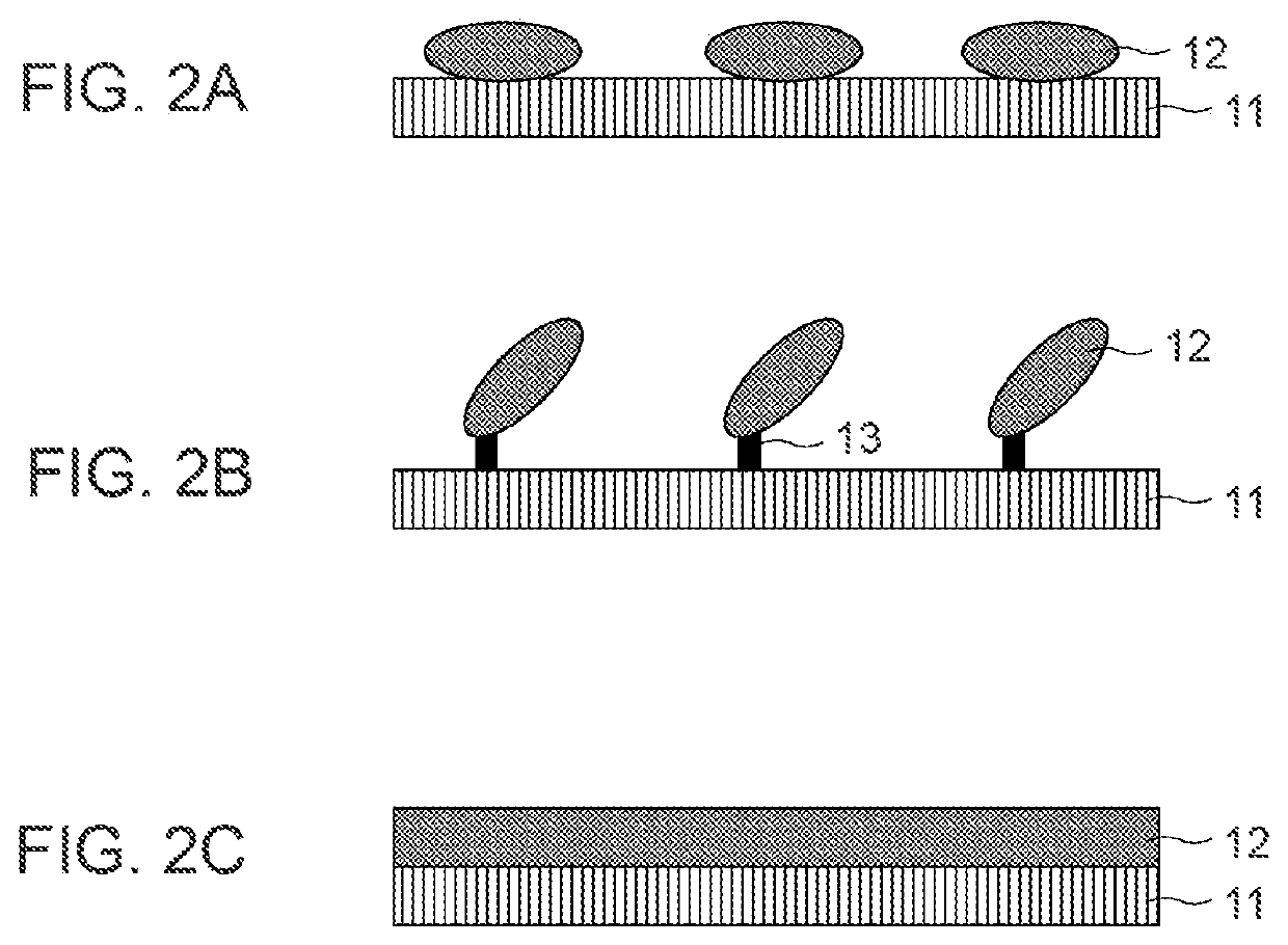 Immunoisolation device