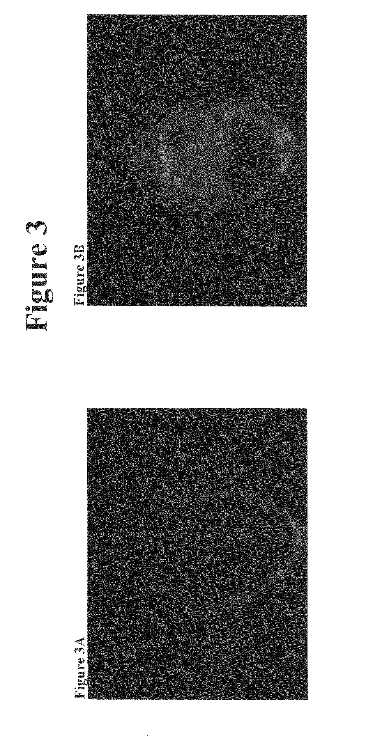 Formulations comprising aminosterols