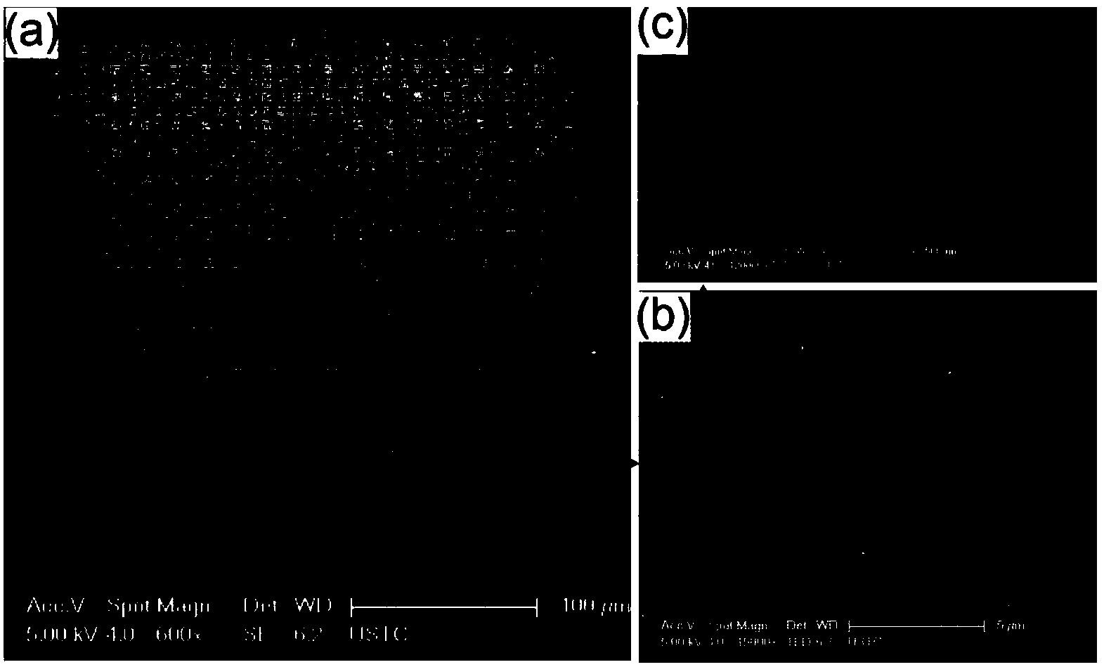 Method for manufacturing micro-polarizer array based on metal nanometer grating