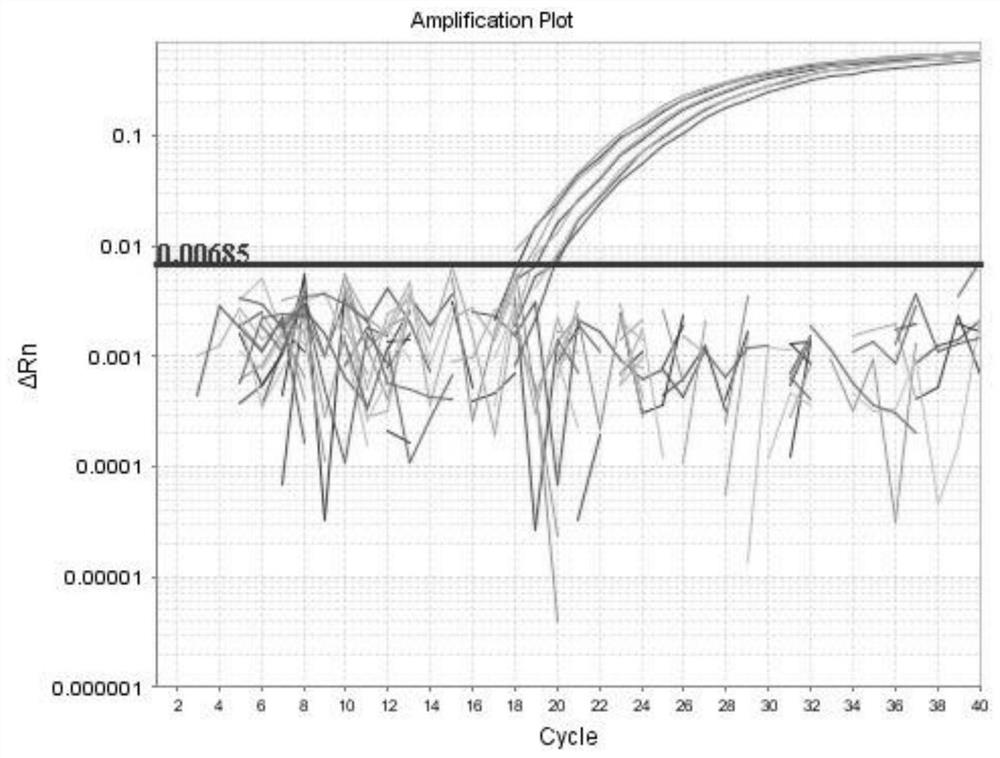 Specific primer and probe for identifying bactrocera humilis and application thereof